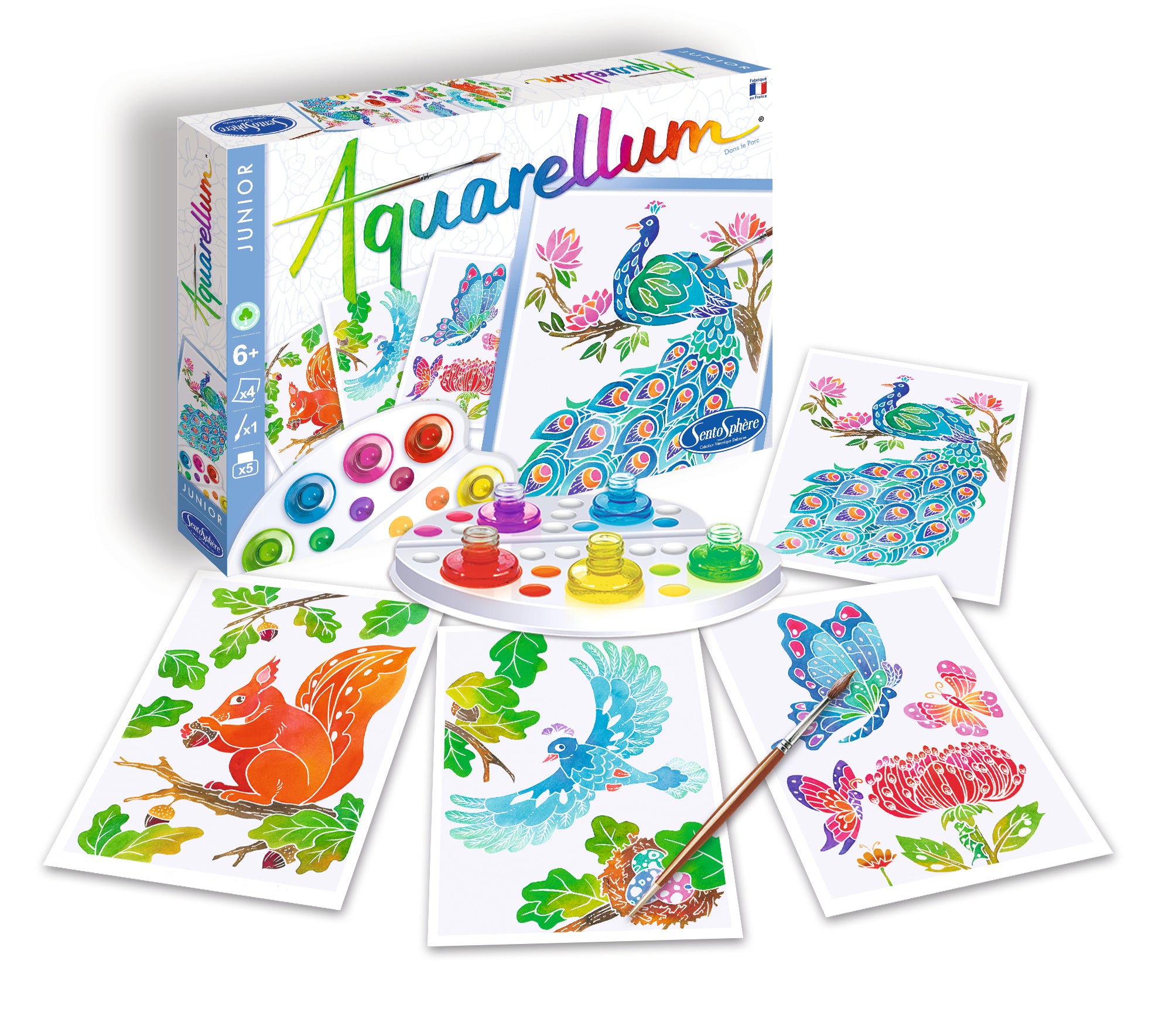 Sentosphere - Aquarellum junior dans le parc