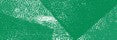 gid://shopify/MediaImage/51781327683920