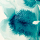 Additif peinture acrylique Fluidifiant Liquitex 118ml