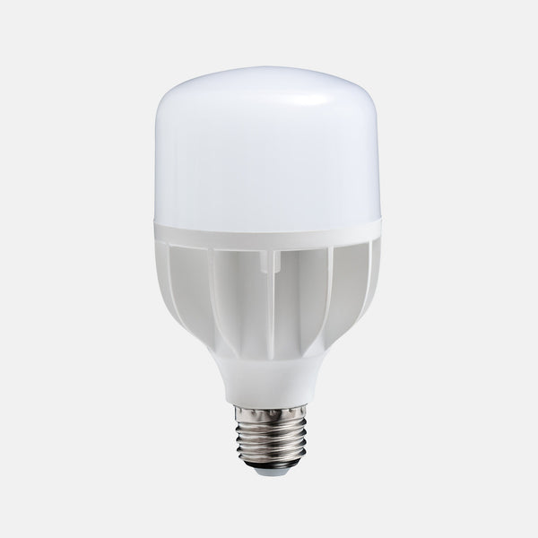 Ampoule LED lumière du jour 18 W à vis