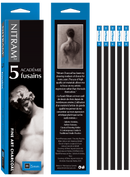 Etui de 5 fusains Académie Dur H - Nitram
