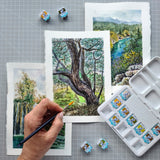 Boîte plastique de poche 12 1/2 godets aquarelle Van Gogh couleurs nature + pinceau