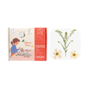 Presse à fleurs et feuilles 20,5 x 18cm