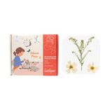 Presse à fleurs et feuilles 20,5 x 18cm