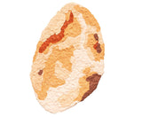 Pâte à modeler plastilina Multi culture x6 50g