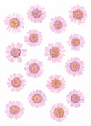 Fleurs séchées pressées - 16 pièces - Marguerites mauves - Artemio