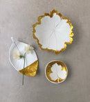 Le grand kit de modelage