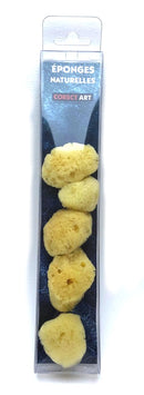 Set de 5 mini-éponges naturelles Corect'Art