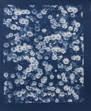 Pochette papier Cyanotype