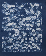 Pochette papier Cyanotype