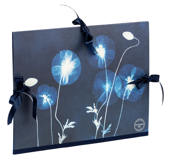 Carton à dessin Cyanotype 28 x 38 cm avec cordon