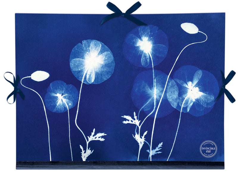 Carton à dessin Cyanotype 28 x 38 cm avec cordon