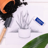 Gomme blanche Mars plastic - Sans Latex - 65 x 23 x 13 mm - 526 50 - STAEDTLER