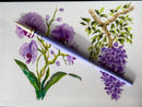 Pinceau Aquarelle Pretty Lili Edition - Da Vinci