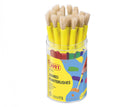 Pinceaux scolaire pot de 20 pinceaux taille moyenne