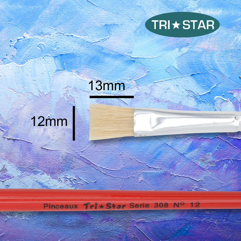 Pinceau scolaire Tri Star 308 Plat - 12 tailles