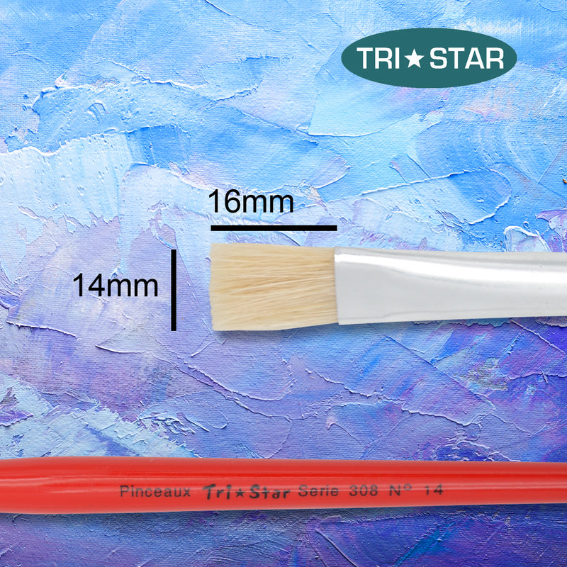 Pinceau scolaire Tri Star 308 Plat - 12 tailles