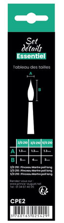 Set  de 3 pinceaux détails
