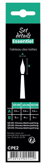 Set  de 3 pinceaux détails
