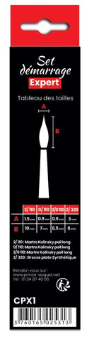 Set de 4 pinceaux de démarrage