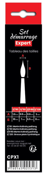 Set de 4 pinceaux de démarrage