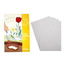 Pochette 5 feuilles assorties papier A4 ensemencé 4 graines