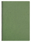 Cahier spiralé AGE BAG A4 100 pages petits carreaux 5x5 - Couverture verte