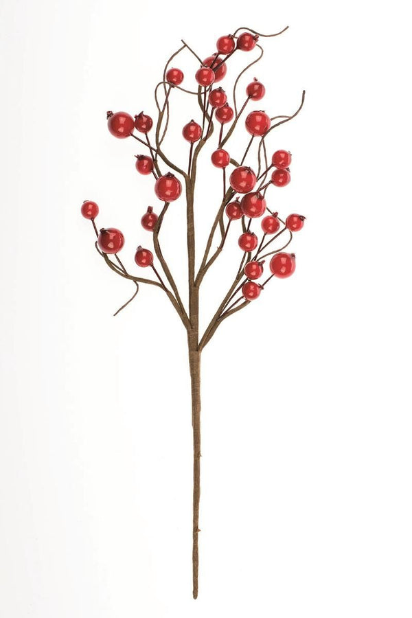 Branches de baie rouge/brun