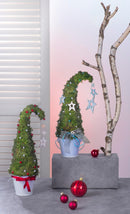 Mousse d'Islande vert foncé 50g