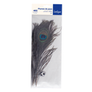 Plumes de paon naturelles (x 3)