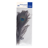 Plumes de paon naturelles (x 3)