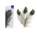 Plumes de paon naturelles (x 3)