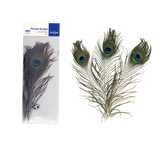 Plumes de paon naturelles (x 3)