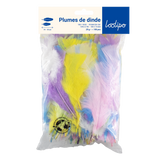 Assortiment plumes de dinde pastel (x300)