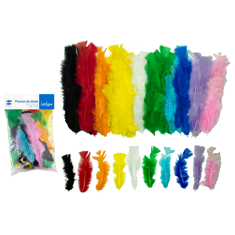 Assortiment plumes de dinde multicolore (x300)