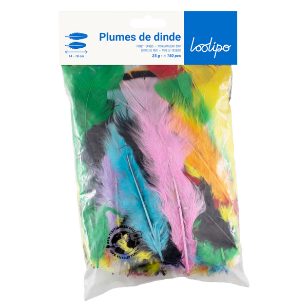 Assortiment plumes de dinde multicolore (x300)