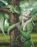 Poster à diamanter 34 X 45 cm Anne Stokes magicienne - Crystal art kit