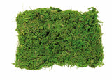 Sachet de mousse vert clair 50g