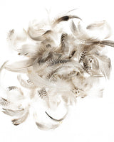 Plumes de coq 5-12cm 10g