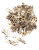 Plumes de poule 5-12cm 10g