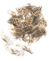 Plumes de poule 5-12cm 10g