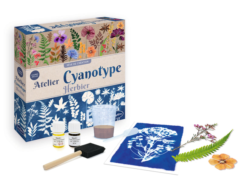 L'atelier Cyanotype Herbier