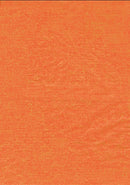 Mini Kit Décopatch Lion