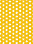 Mini Kit Décopatch Lion