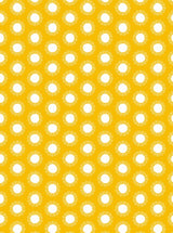 Mini Kit Décopatch Lion