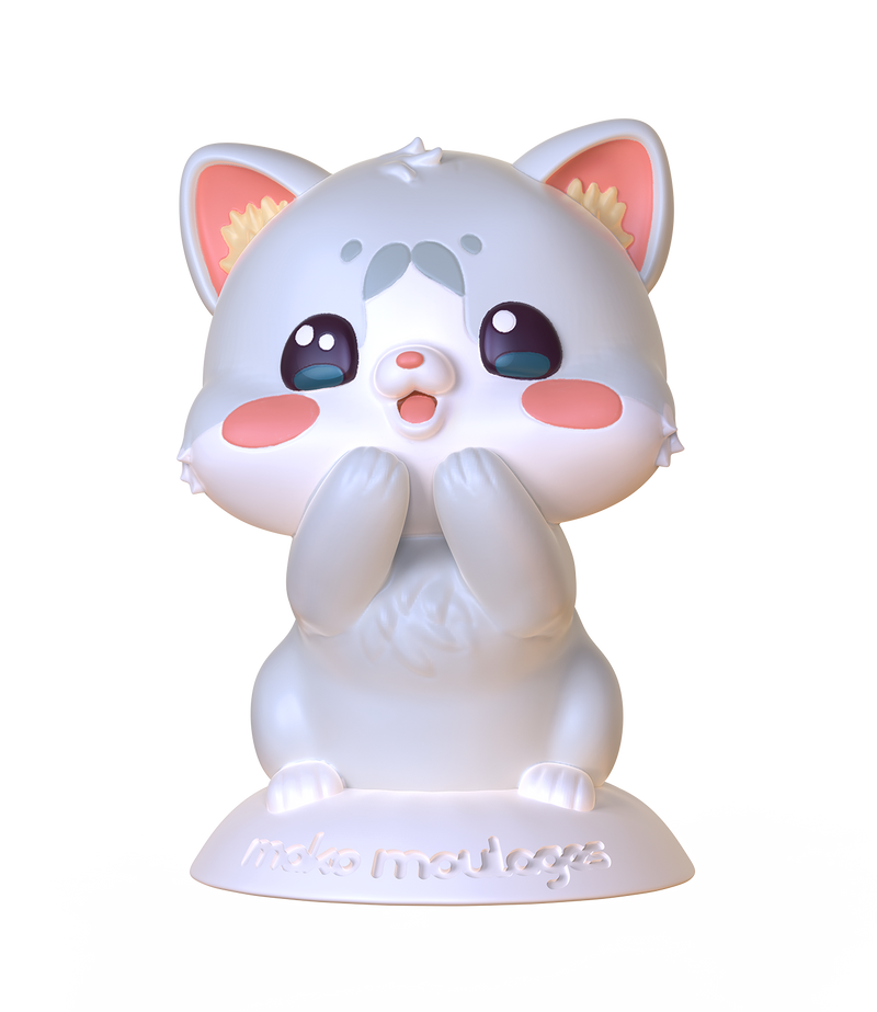 Coffret Mes amis Kawaii