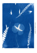 Kit Cyanotype 10 feuilles A4