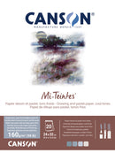 Bloc papier dessin 160gr 20FL MI-TEINTES® 24 x 32 collé petit côté - Gris froid