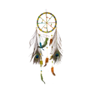 Plumes de paon naturelles (x 3)