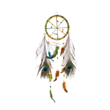 Plumes de paon naturelles (x 3)
